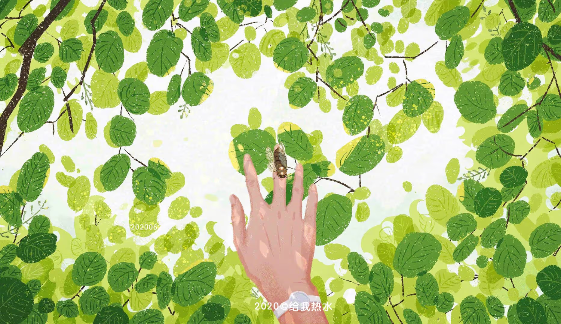 万物一梦 榕